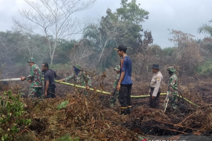 Dua hektare lahan gambut di Aceh Barat terbakar