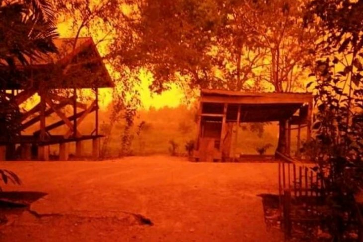 WARSI sebut kebakaran hutan dan lahan di Jambi semakin meluas