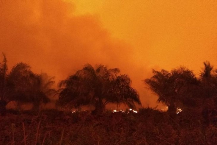 Satgas Karhutla Jambi masih berjibaku sekat karhutla di Kumpeh Ulu