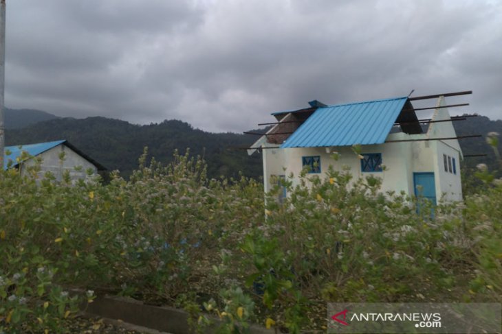 Proyek perikanan BPKS Rp438 miliar terbengkalai