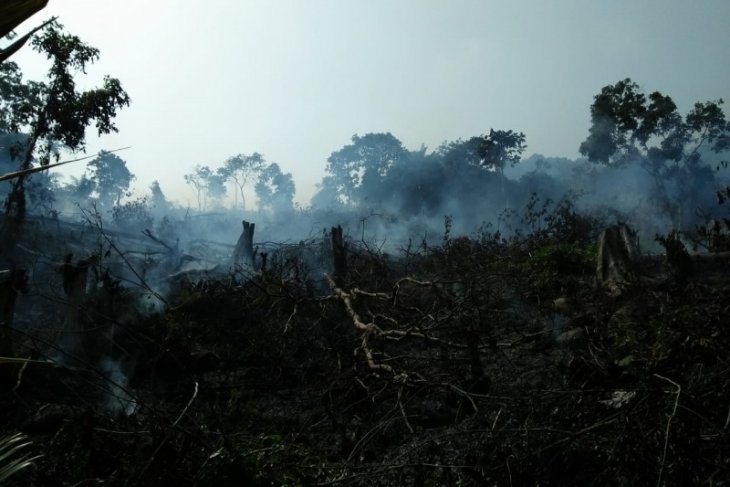 Sebanyak 58 peristiwa kebakaran lahan di Penajam