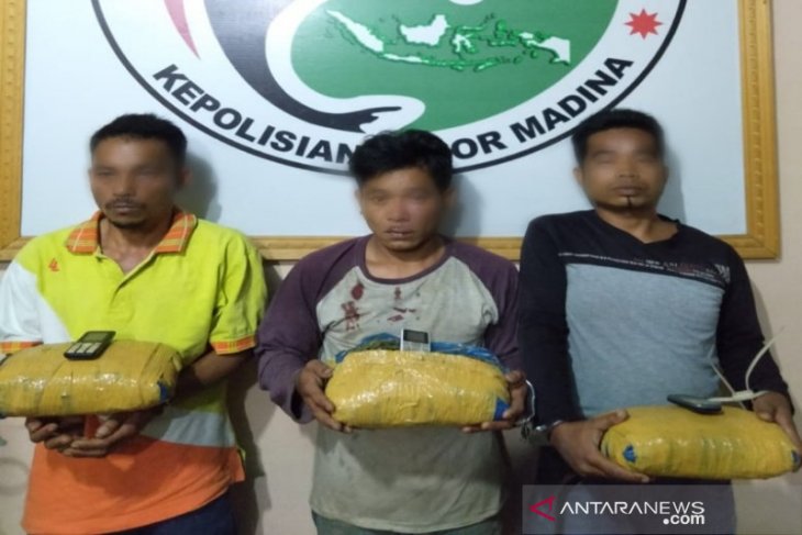 Tiga bal ganja bersama pelaku diamankan polisi di Kayu Laut