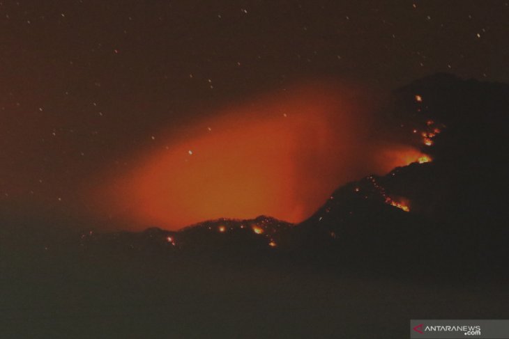 Kebakaran Gunung Raung