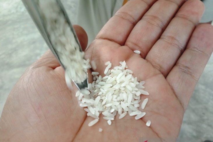 Bulog siapkan 1.600 ton antisipasi kenaikan harga di barat Aceh