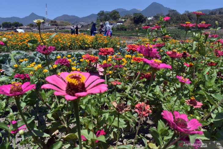 Kebun Wisata Magetan Antara News Jawa Timur