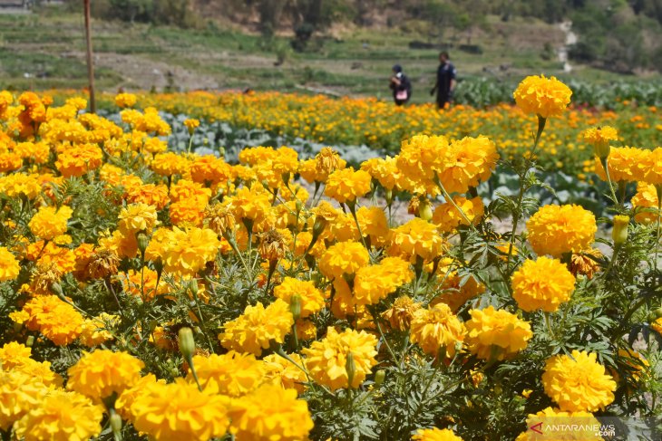 Kebun Wisata Magetan