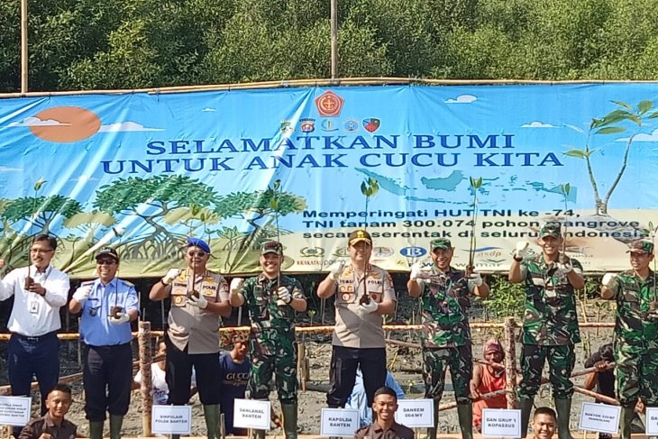 HUT TNI, sejumlah 4500 batang pohon mangrove ditanam di pesisir Banten