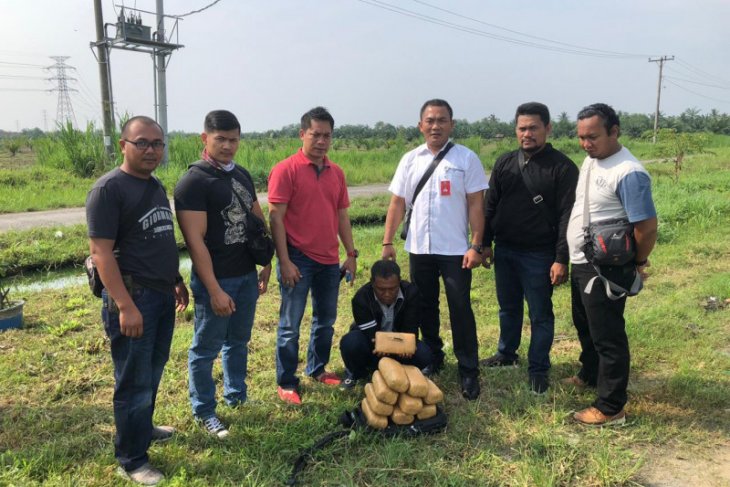 Polisi Medan ringkus kakek asal Aceh pembawa ganja