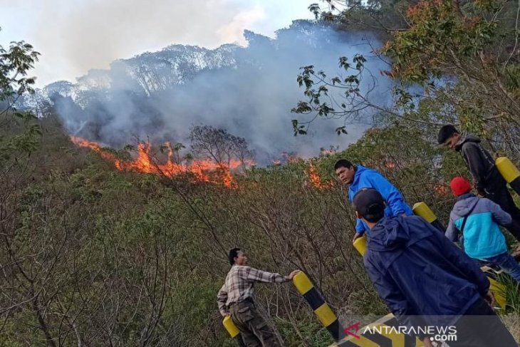 Hutan Gunung Papandayan di Garut terbakar, petugas gabungan berupaya padamkan api