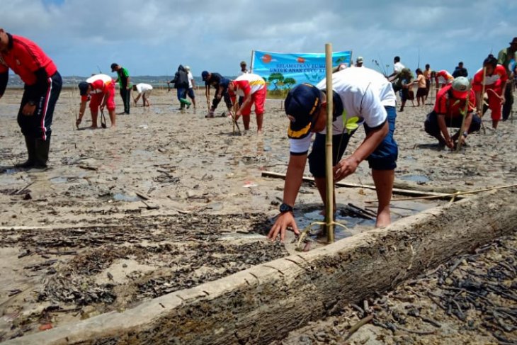 Lanal Saumlaki tanam 5.000 anakan pohon bakau