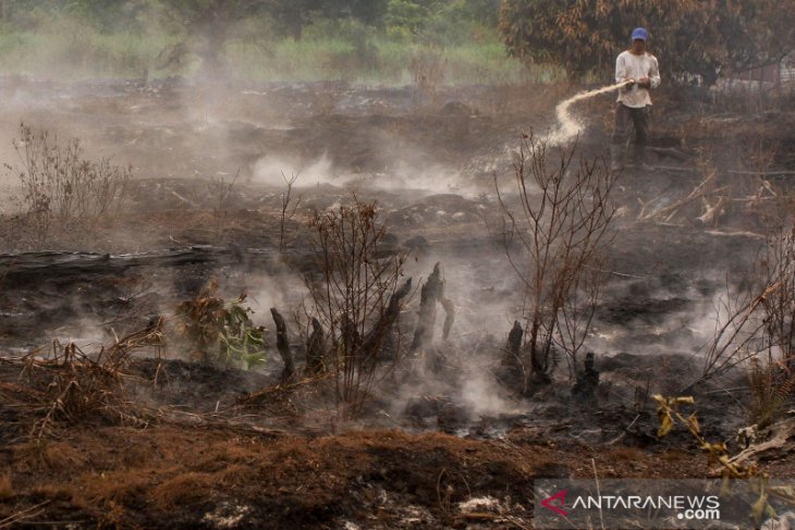 Pekanbaru kembali berasap