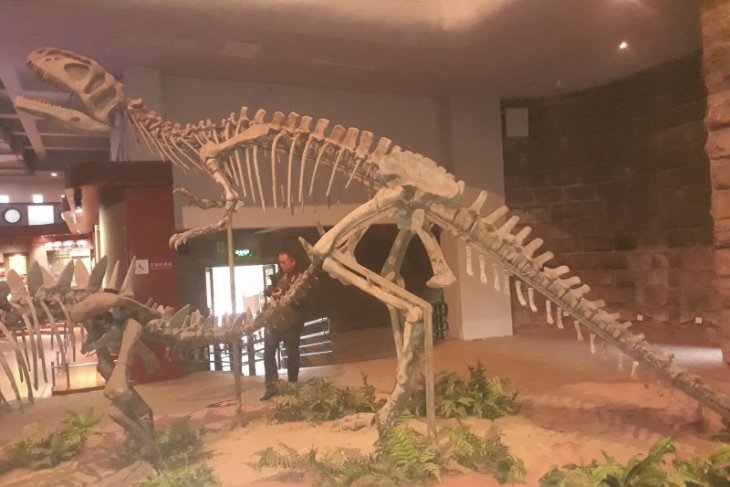Di China, bekas jejak kaki dinosaurus 100 juta tahun ditemukan lagi