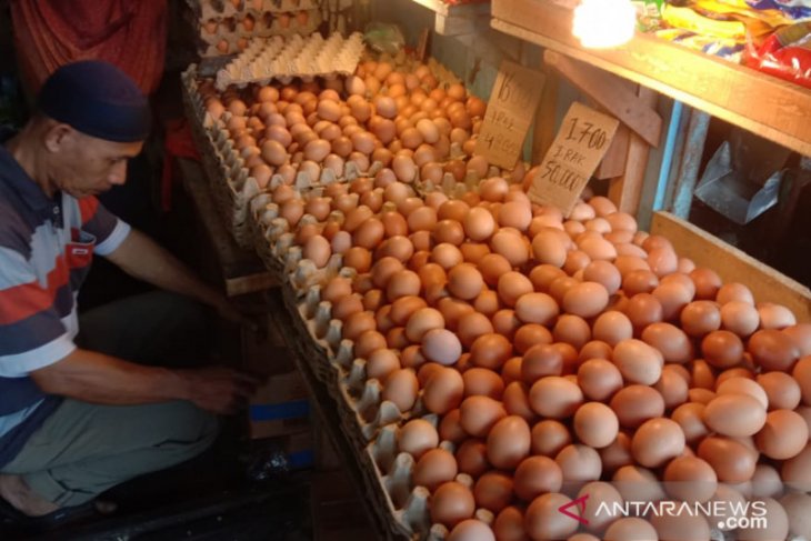 Harga telur ayam ras di Ambon naik dan bervariasi