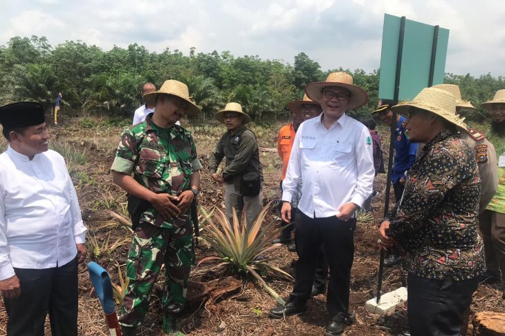 BRG sulap ladang api Rupat jadi sumber ekonomi