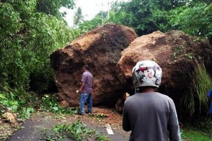 Gempa akibatkan bongkahan batu tutup ruas jalan menuju Desa Tial