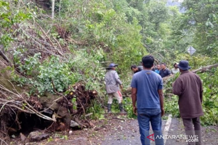 Longsor batu gunung macetkan lintas Banda Aceh-Meulaboh