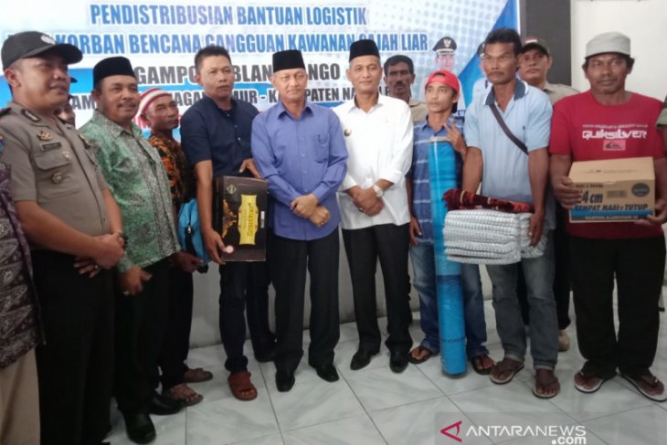 Pemkab Nagan Raya minta BKSDA atasi gangguan gajah liar