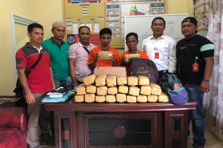Polres Langkat tangkap dua pembawa 25 kilogram ganja dari Aceh