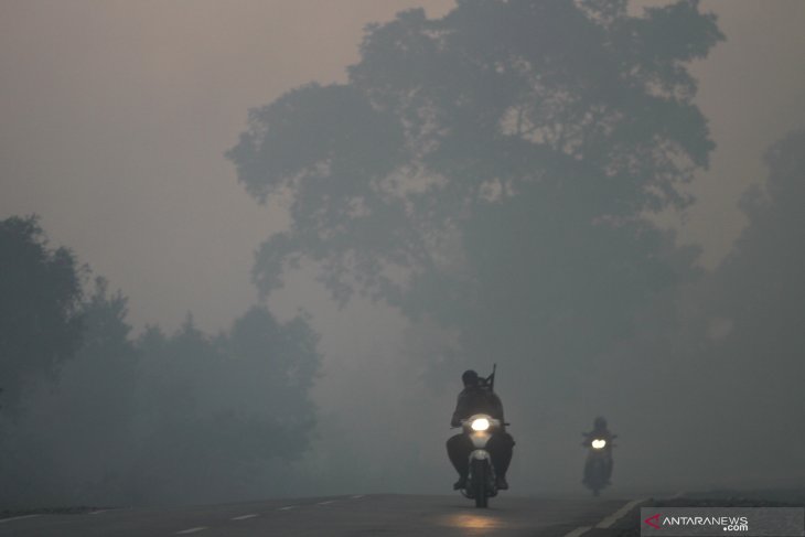 Dengan aquascape dan tanaman, Kabut asap bisa diminimalkan