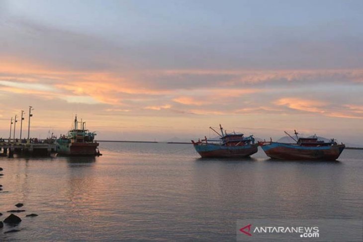 DKP: Perputaran uang di PPS Koetaraja capai Rp3,5 miliar per hari