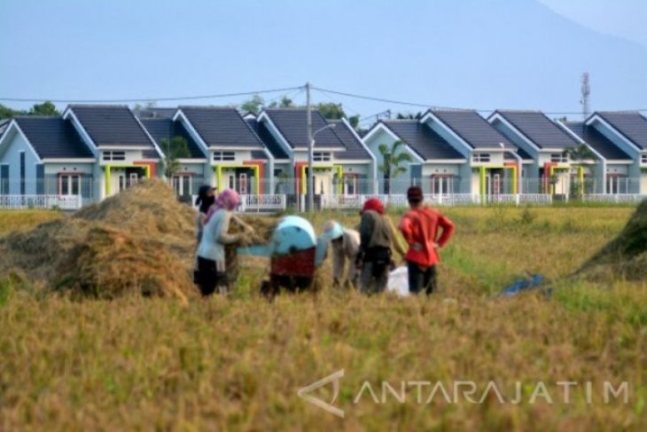 Sawah makin menyusut, produksi beras Kota Madiun ikut terdampak