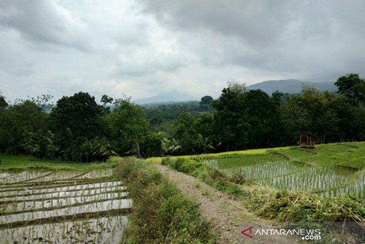 Masyarakat Batu Lanja harapkan pemerataan pembangunan