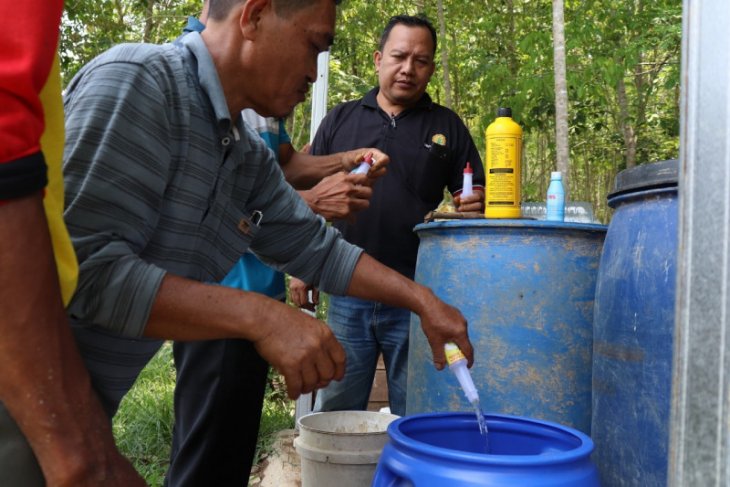 Farmers in Tabalong apply environmentally-friendly farming