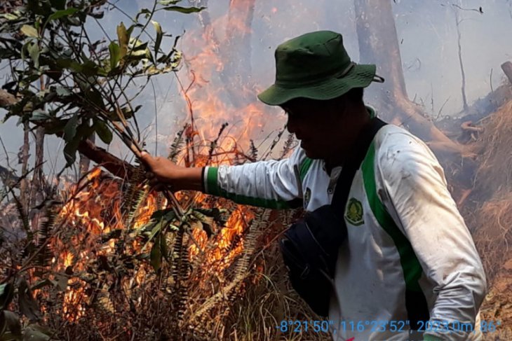 Para pendaki aman saat Gunung Rinjani terbakar
