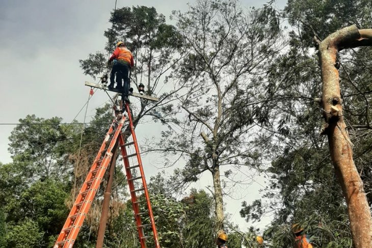 Bencana angin kencang, 10 gardu listrik di Kota Batu mulai menyala
