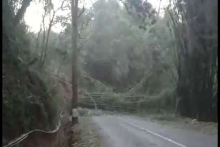 Pemukiman dilanda angin kencang puluhan warga Pakis Magelang mengungsi