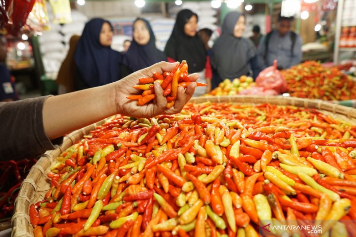 Harga cabe rawit di Singkawang turun drastis