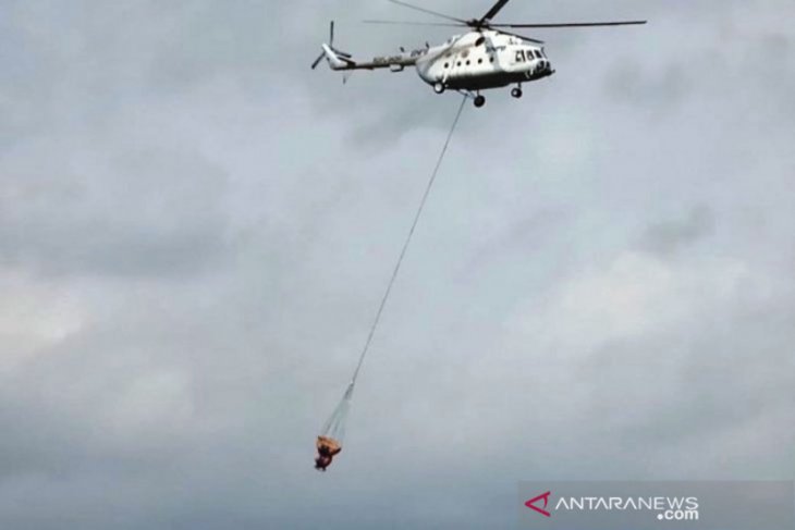 Strong wind impedes firefighting efforts on Mt Arjuno, Mt Welirang