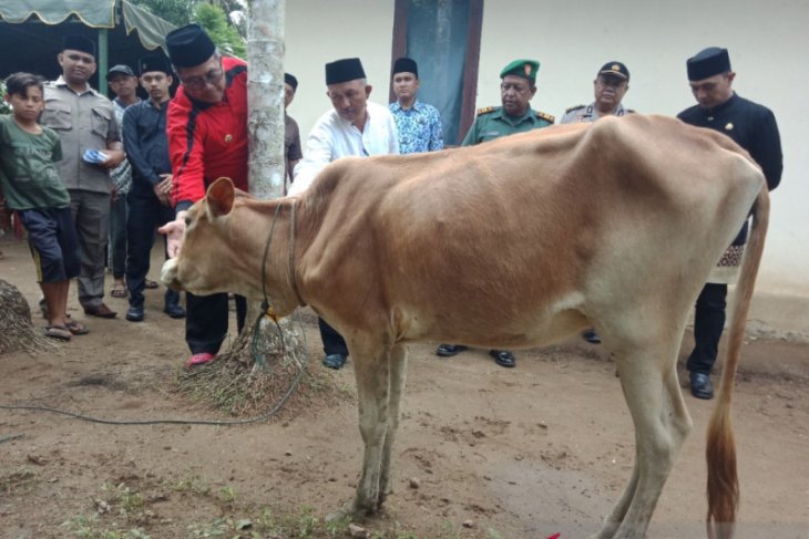 Aceh Barat bantu 20 ekor ternak ke petani
