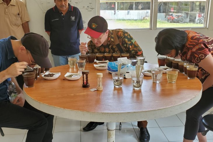 KJRI bawa pengusaha kopi AS ke Toraja untuk tingkatkan ekspor