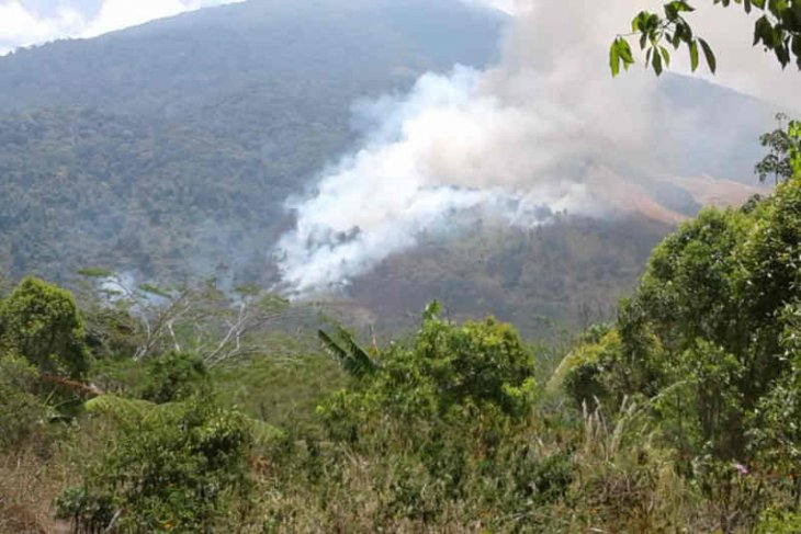 Hutan Gunung Ciremai yang terbakan kian luas