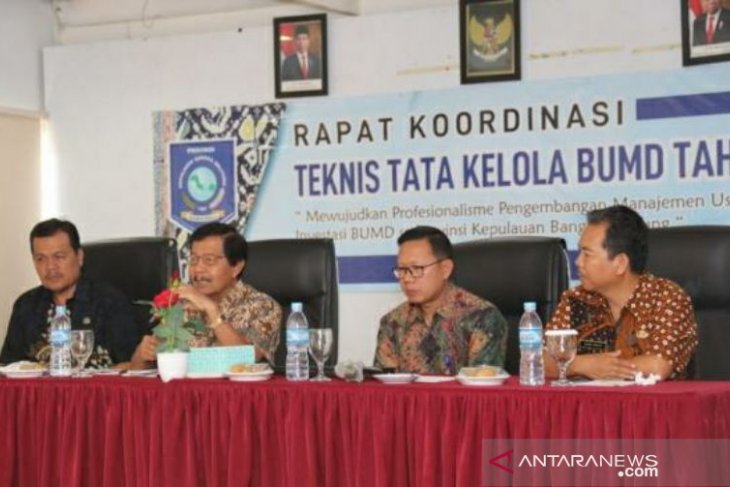 Wagub Babel kritisi fungsi BUMD belum maksimal