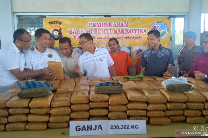 Polda Jambi musnahkan dua ratusan kilo ganja