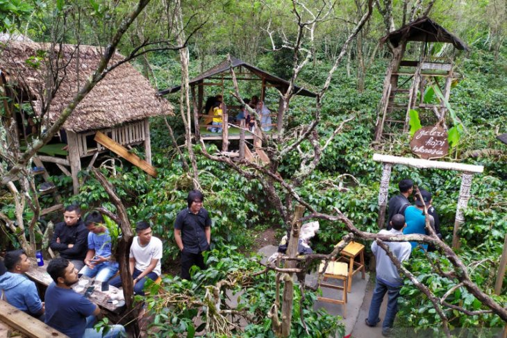 Ngopi langsung di kebun kopi