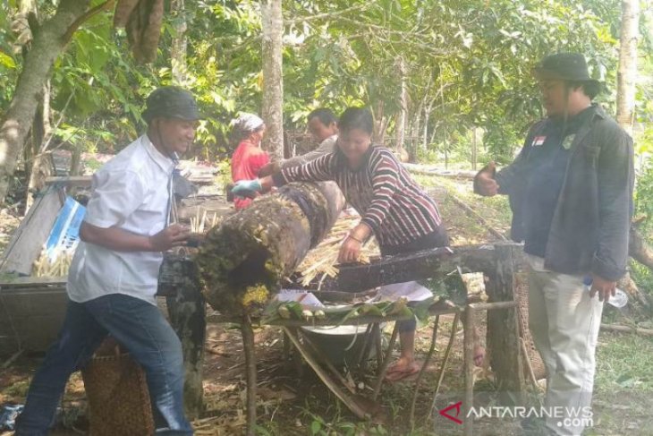 Gula Tebu Berpotensi Jadi Unggulan Desa Mahulu