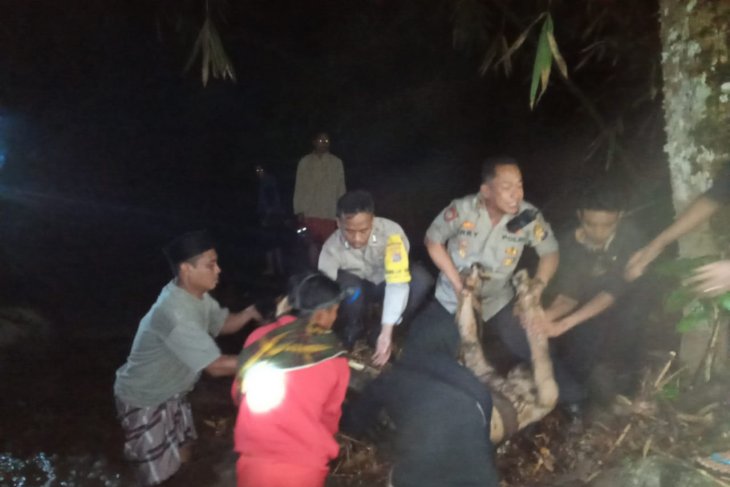 Dua mahasiswa tewas di TN Gunung Rinjani