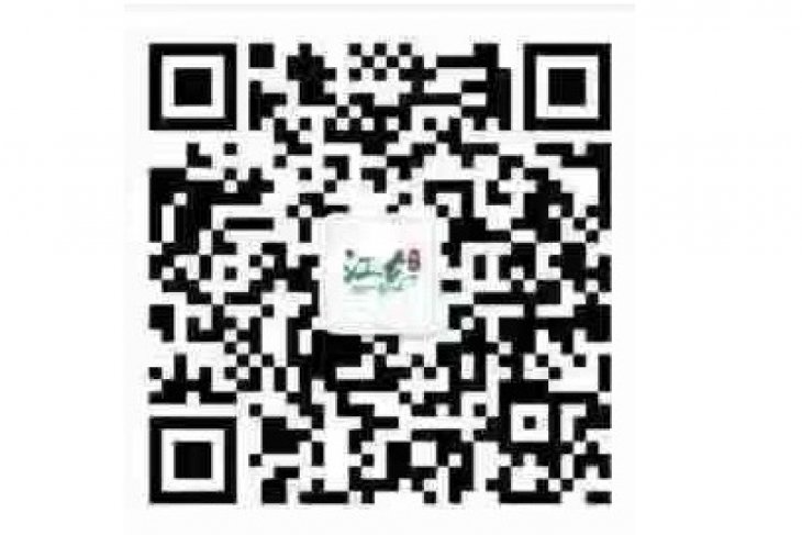 Haikou Jiangdong New Area Administration openly recruitment facing talents at home and abroad