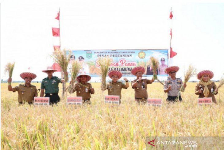Tanah Bumbu farmers harvests 530 hectare rice in dry season