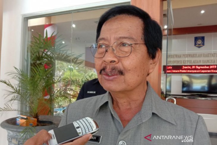 Wagub Babel: Saya hanya didorong hingga terjatuh