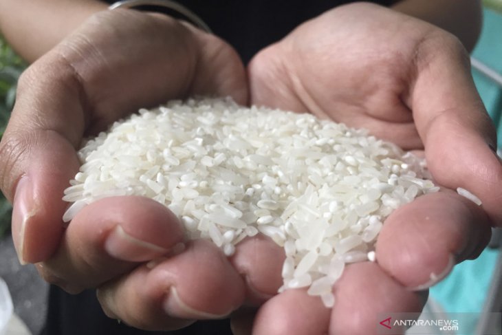 BI: Waspadai kenaikan harga komoditas pangan jelang akhir tahun
