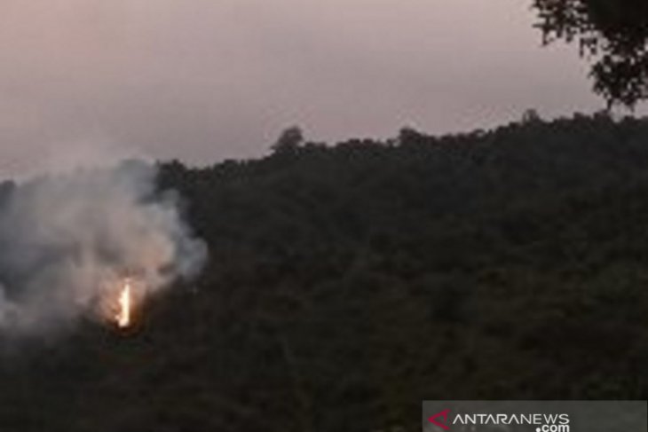 Kebakaran landa tiga hektare hutan lindung Gunung Salak Sukabumi