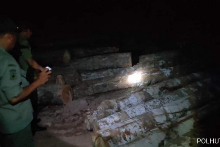 Tim patroli kehutanan temukan tumpukan Kayu Ilegal di Kahelaan