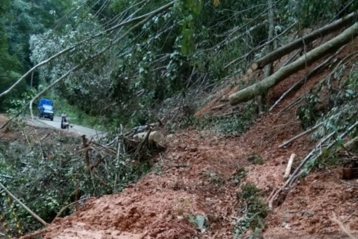 Tebing gunung Longsor di jalur Aceh Barat - Pidie lumpuhkan transportasi