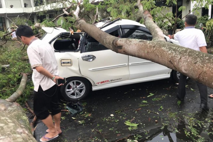 Akibat hujan disertai angin, puluhan pohon tumbang di pusat pemerintahan Banten