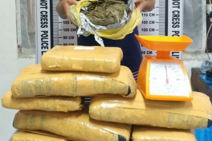 Polisi amankan tersangka dan 14,8 Kg ganja