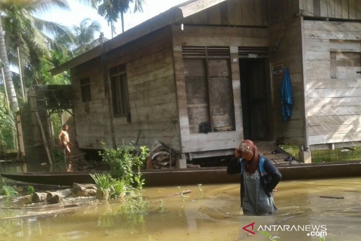 Banjir Daerah Aliran Sungai Tamiang meluas hingga landa 20 desa
